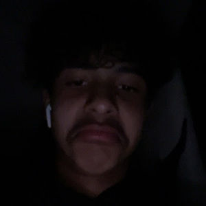 Meet your Posher, Wilbert